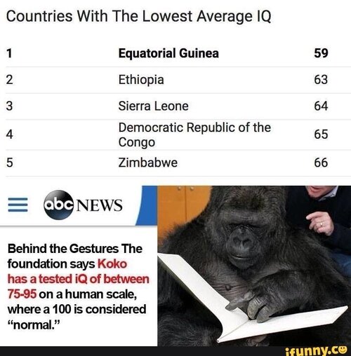 3721958 46818b7336b55f48f6e474680a5ba3a9aef36758b88af22b0cb358e6f5ccda6b 1