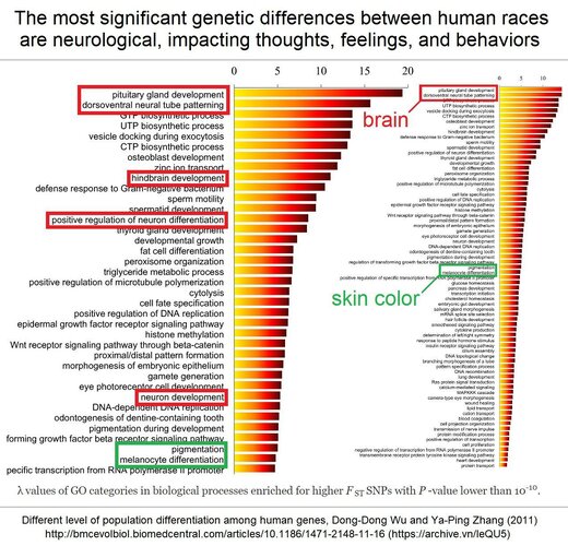 F80CA924 262B 4464 B02D BD7C05A32744