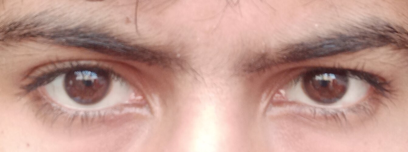 IMG 20231125 114248
