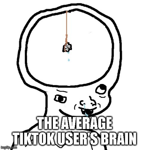 5p966q.jpg