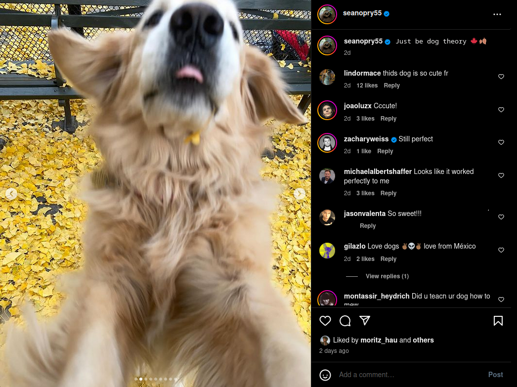 Dogpilledbyoprya