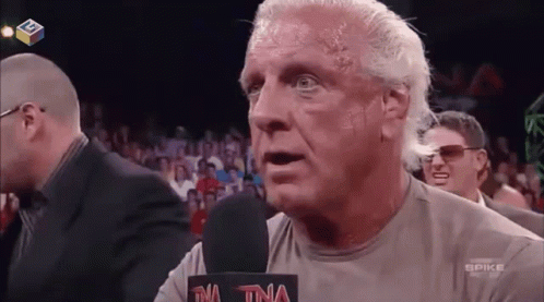 Ric flair