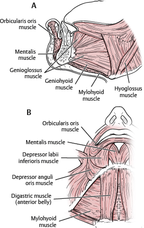 9781626238671 fig49 1