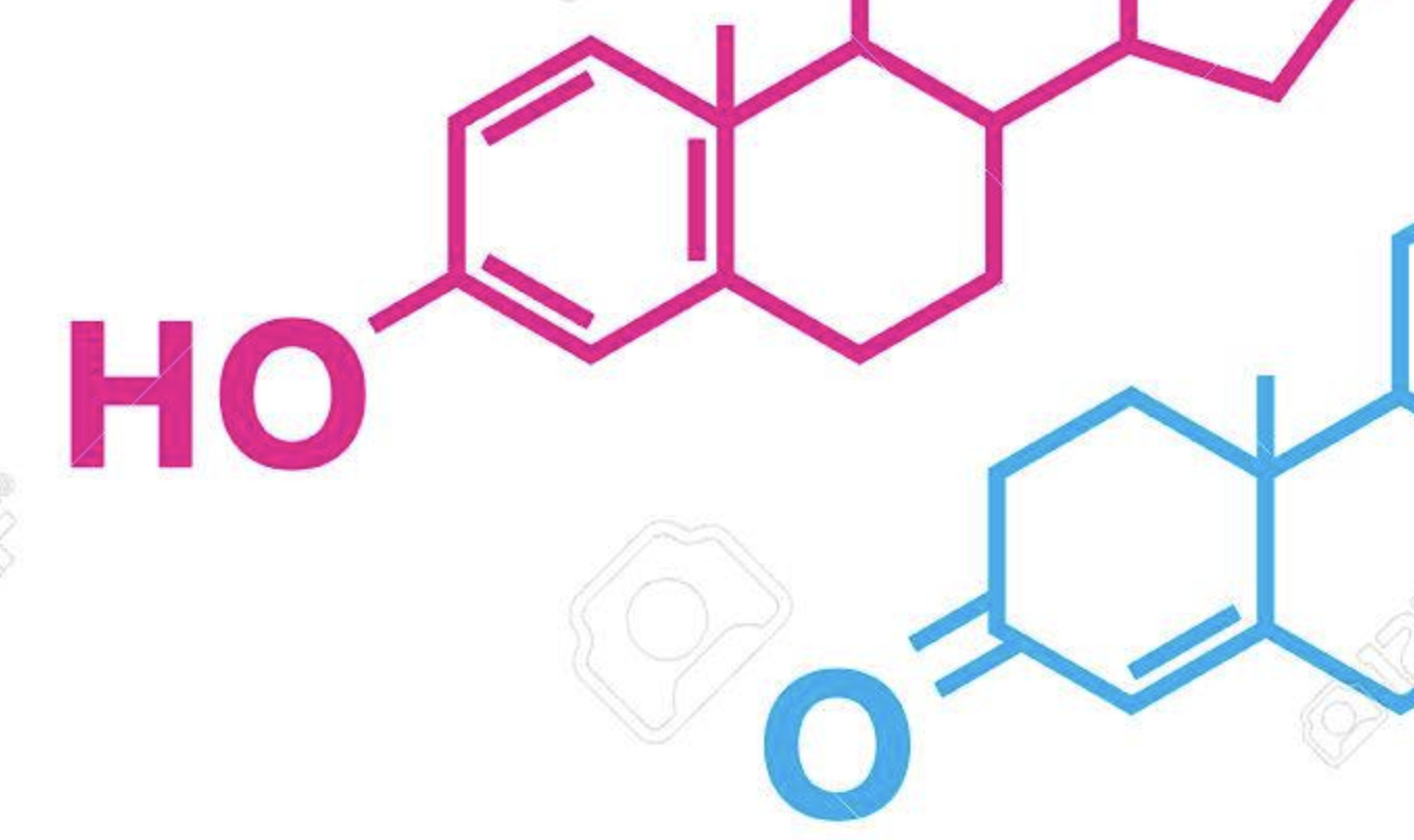 Screenshot 2023 12 04 at 193428