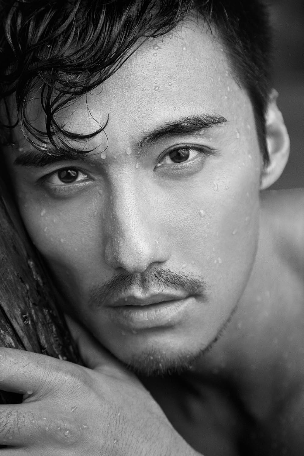 MV5BMjMyODI3OTc3MV5BMl5BanBnXkFtZTgwOTY4NTcyODE V1 FMjpg UX1000 