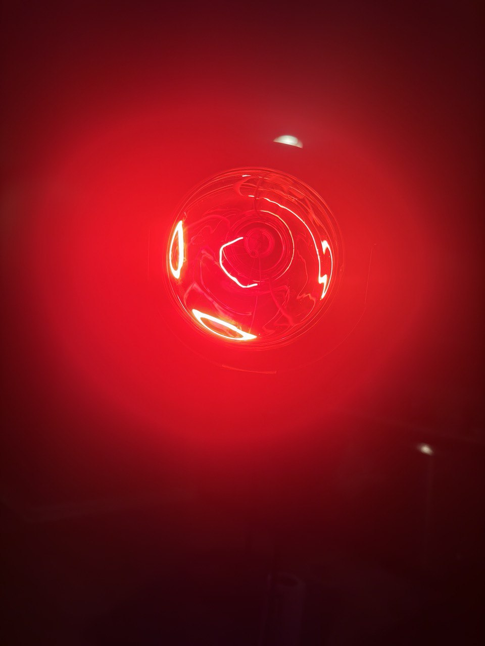 Photo 2023 12 05 11 58 41