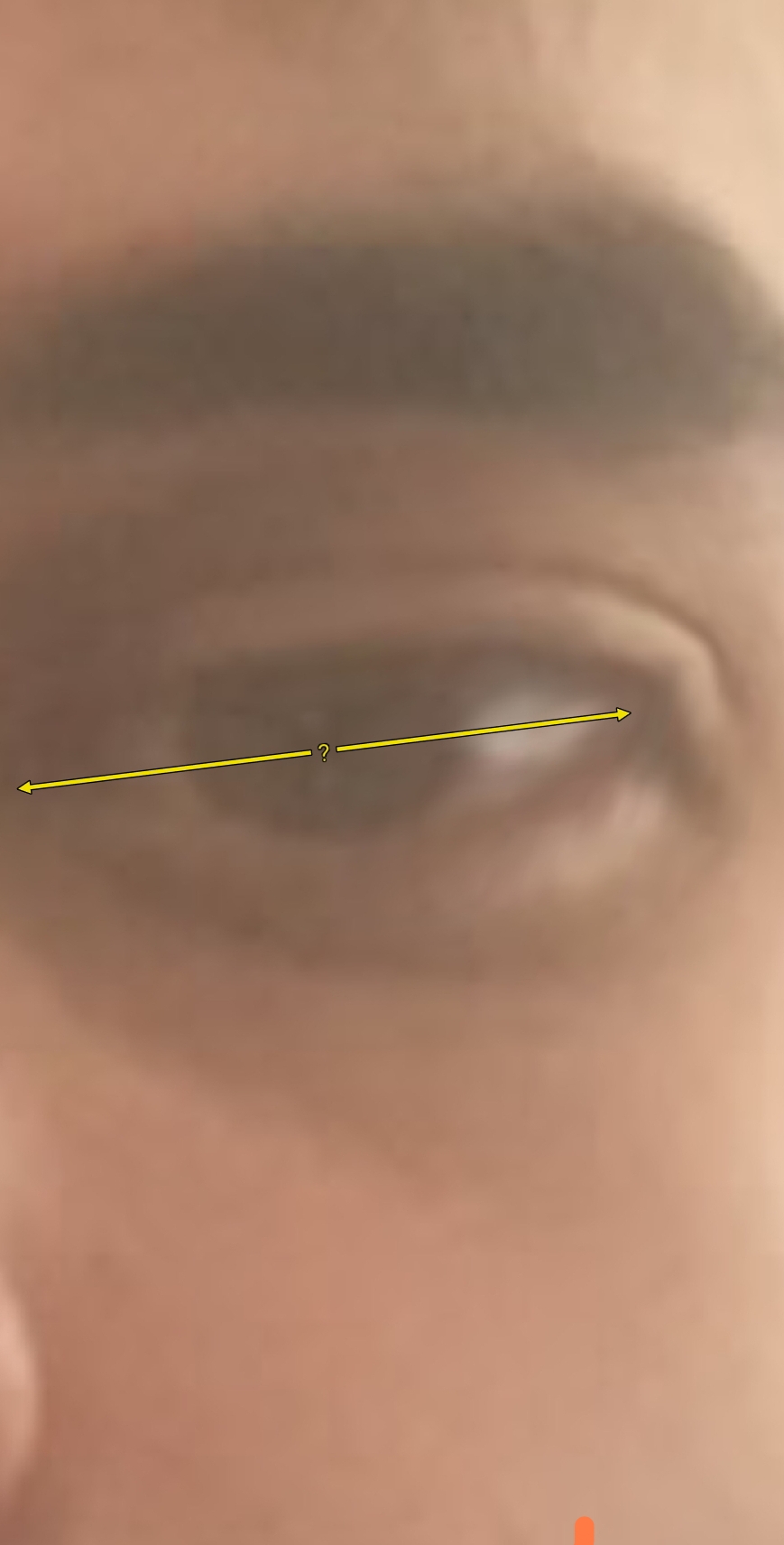 Screenshot 2023 12 08 19 50 47 734 dedirkfarinimagemeter edit