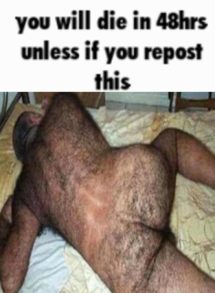 1702040355897