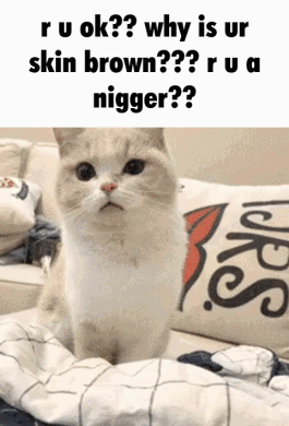 1702043134363
