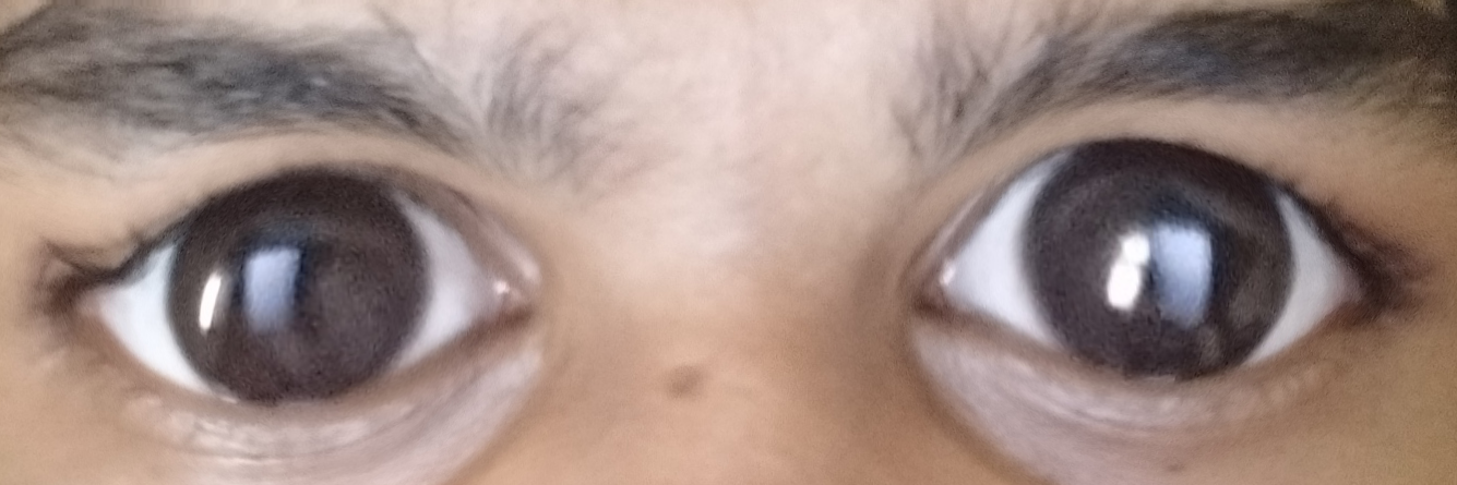 Untitled15 20231209013647