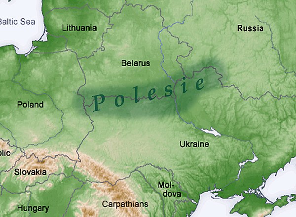 Polesia map   topography