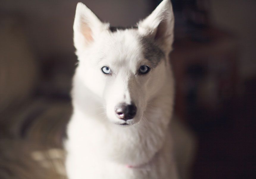 4691cb15b3e05a27886d7ca01dd2849b