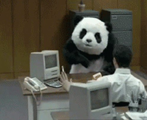Cortisolpanda