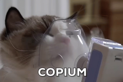 Copium cat