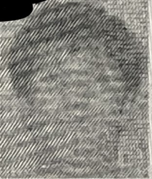 3815081 D61B3C49 CCA5 44F3 90ED 92257FB44B4E