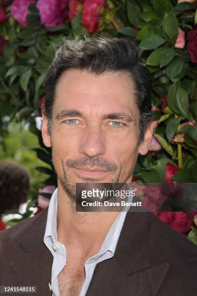 Looksmax 1