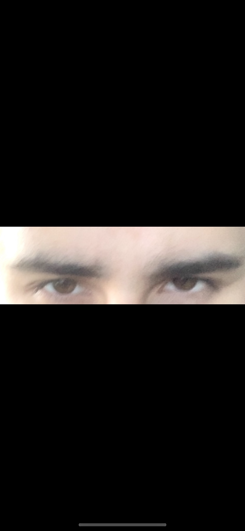 991204C4 8DC2 4D06 8A5D 60265F210D48