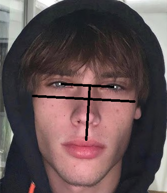 Mspaint dmnHusBryl