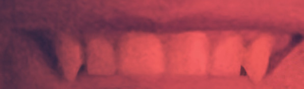 0C4BFDCF 5901 4A8C A03F AE9ED251C717