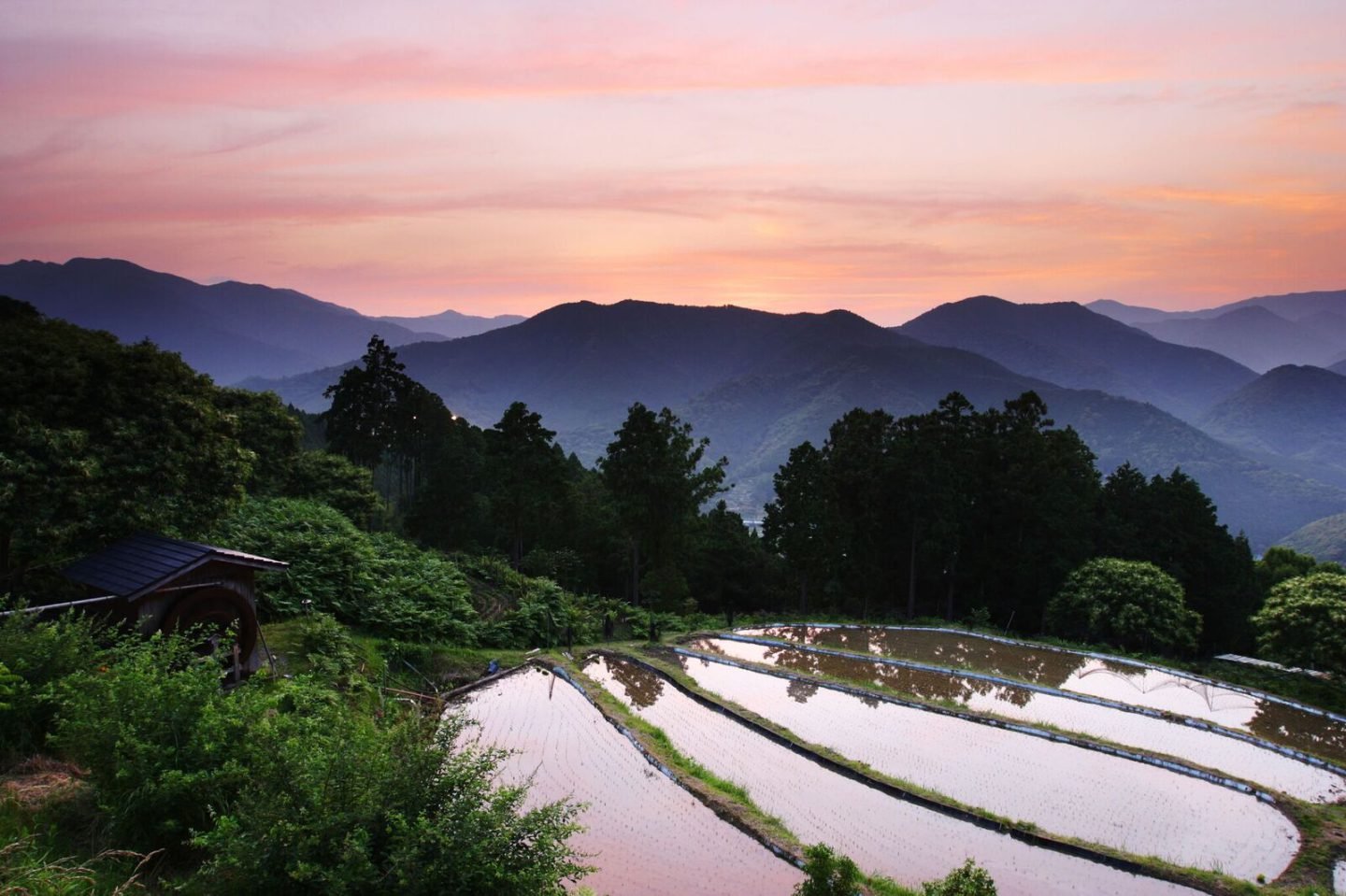 The kii mountains at dusk photo courtesy of tanabe city kumano tourism bureau 1440x959