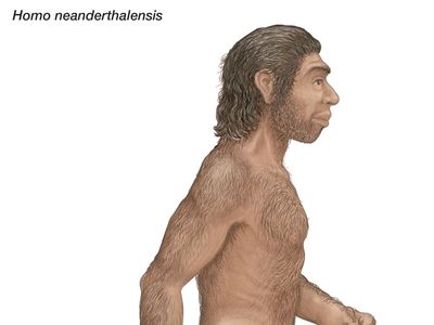 Rendering Artist Homo neanderthalensis Europe Central Asia