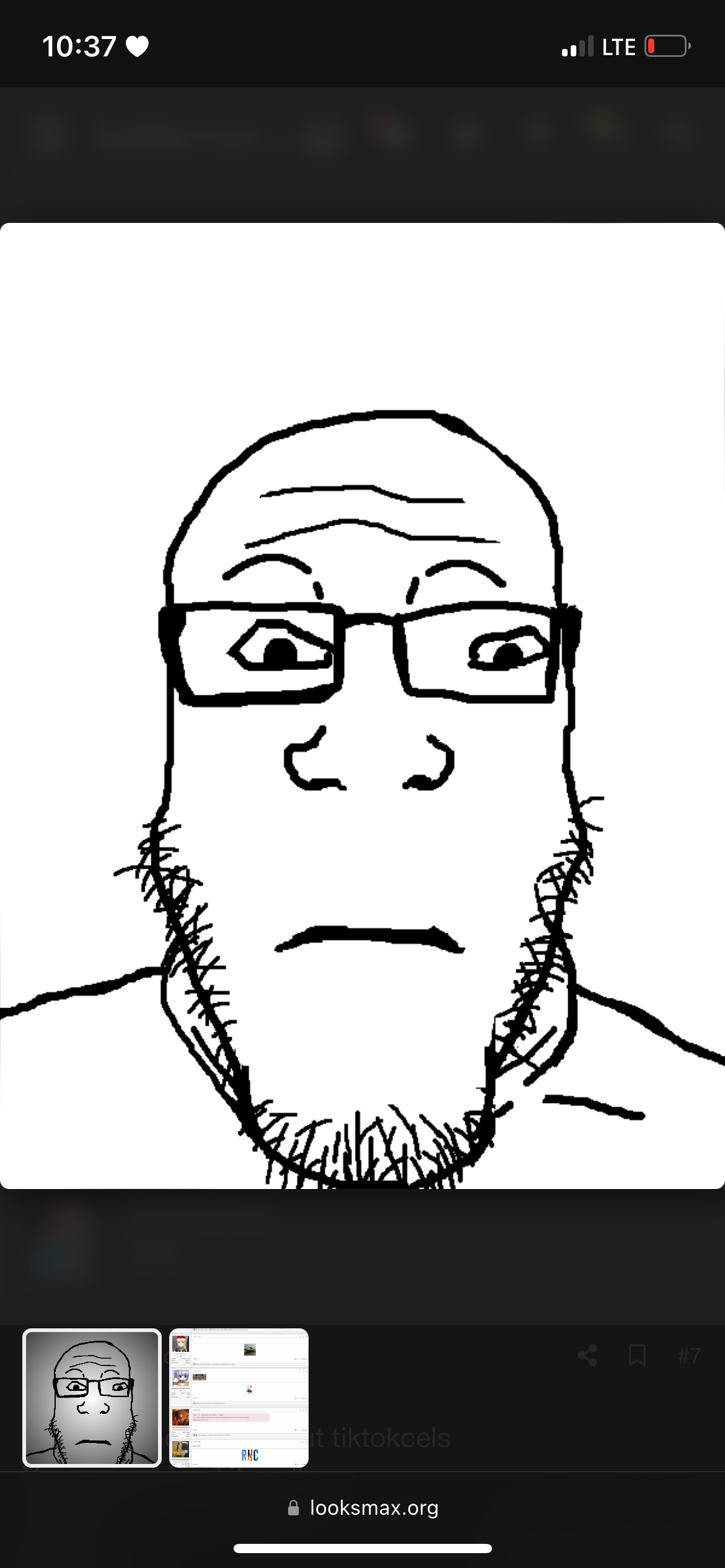 IMG 3546