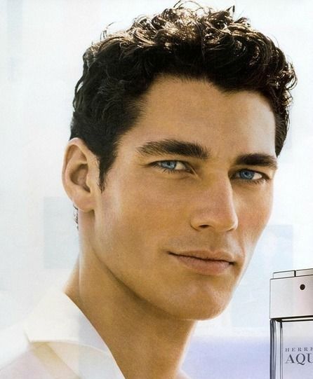 31277502e1da57e15a10f1a18a6183b9