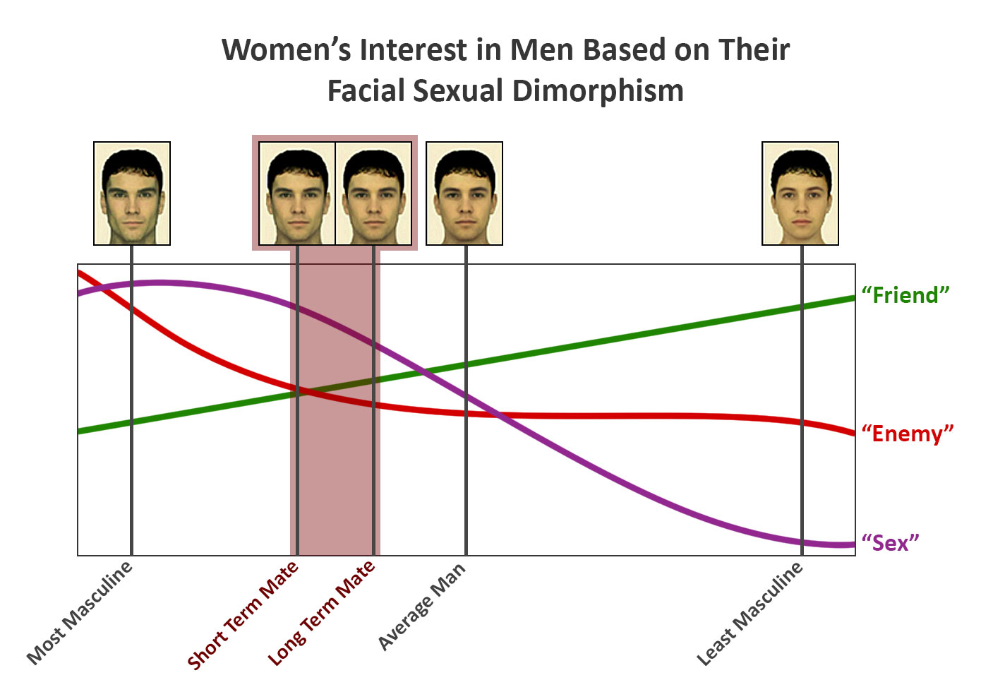Facial sexual dimorphism
