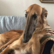 1703148079455