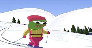 IMG 2900