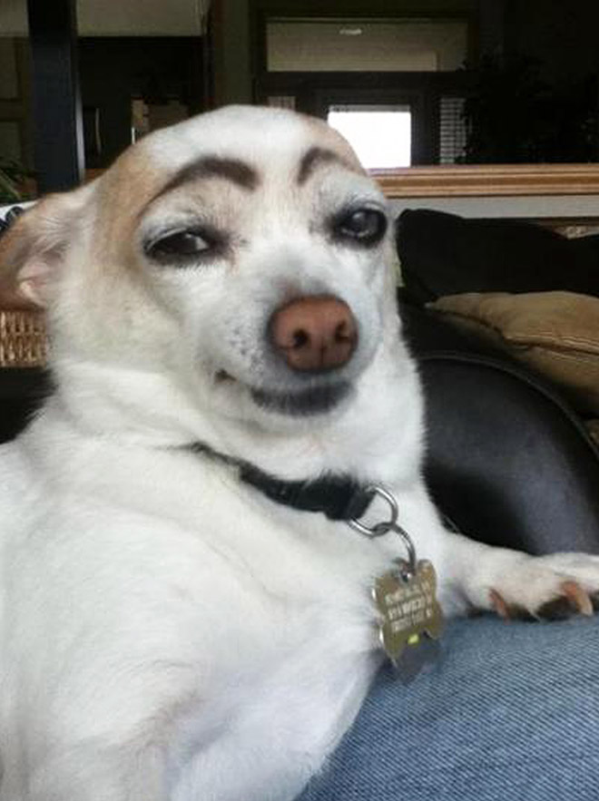 Makeup eyebrows16 1