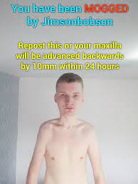 3674078 1696088528294