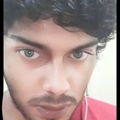 1703429016485