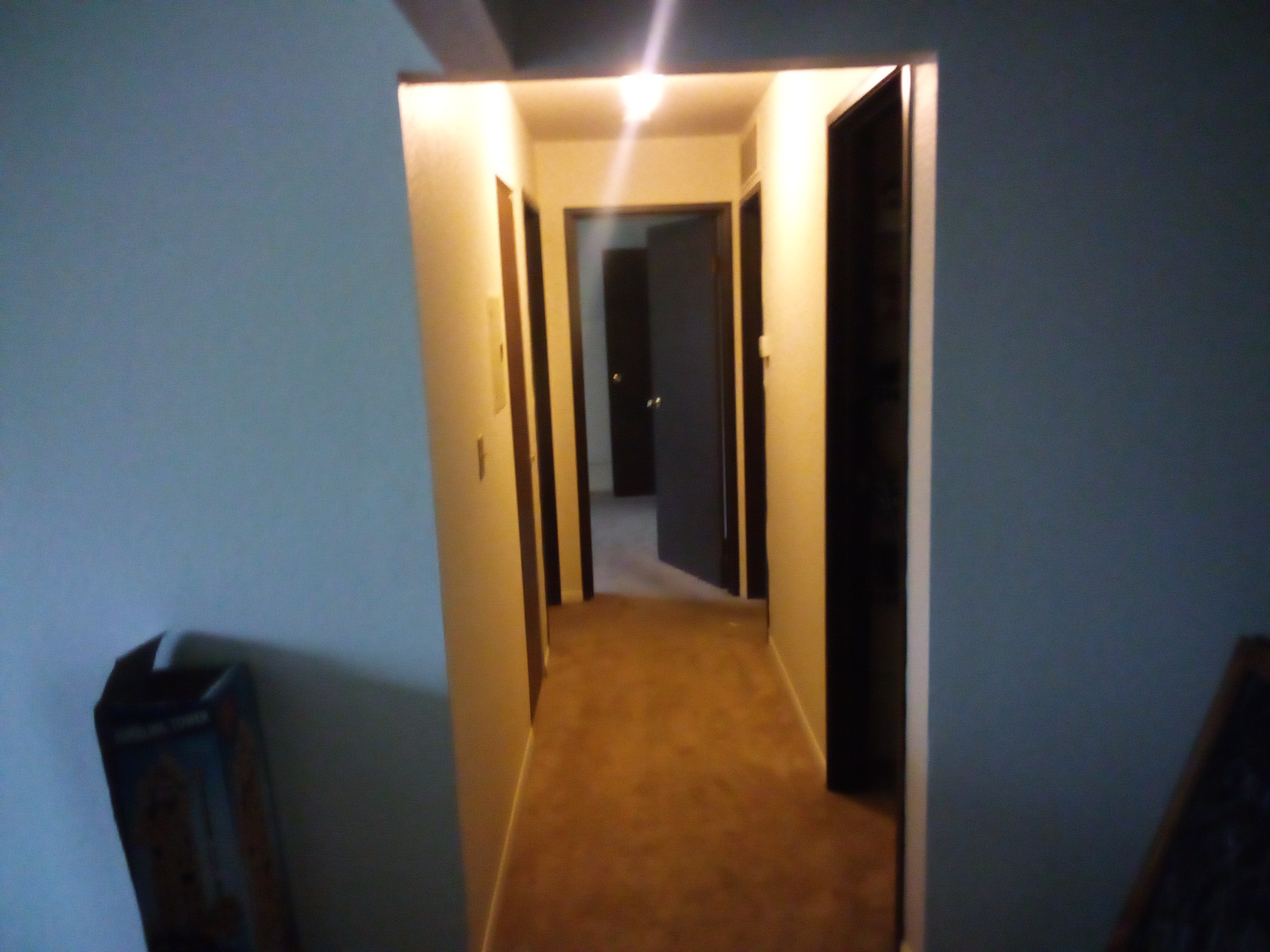 IMG 20231224 133435