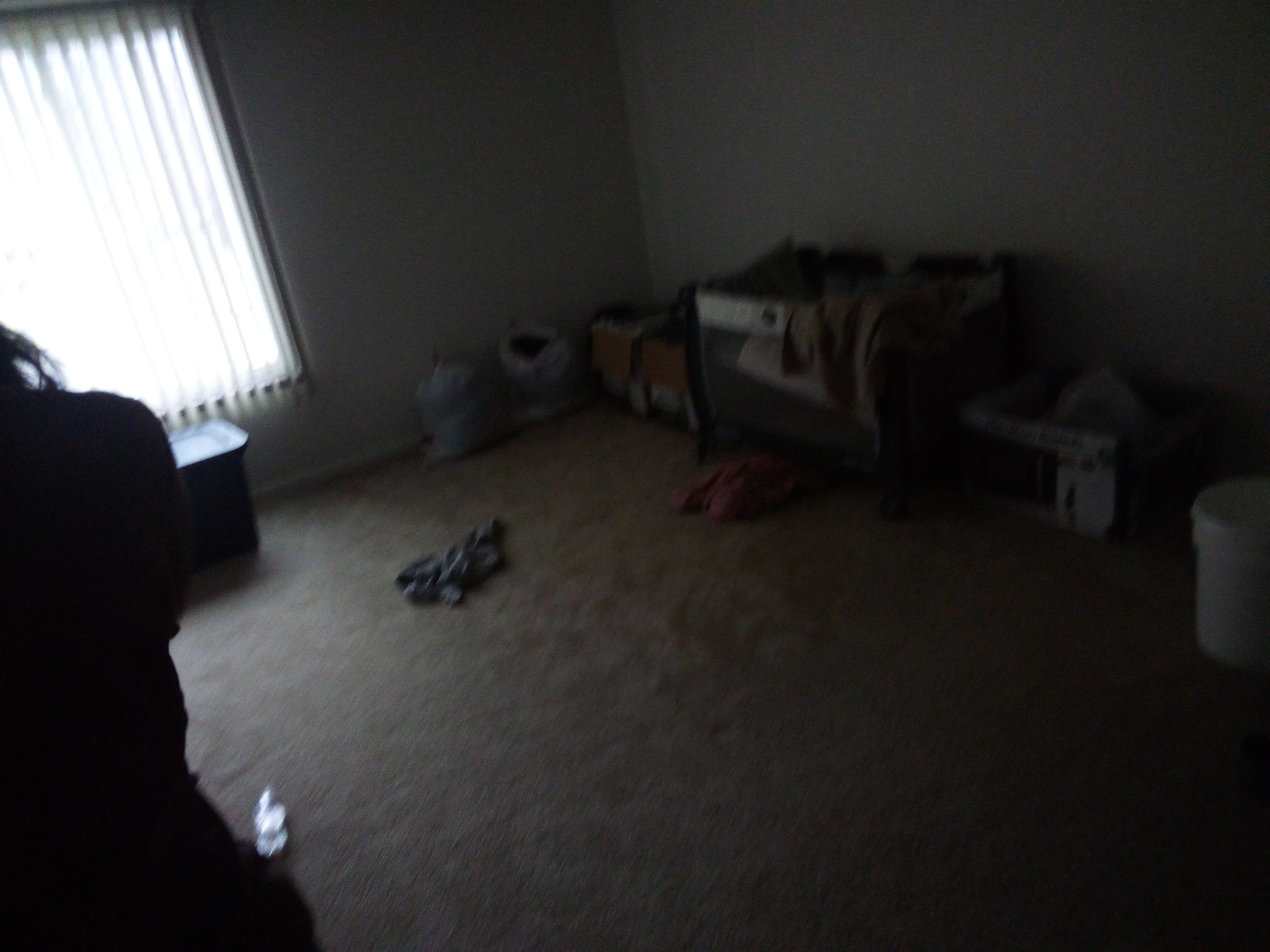 IMG 20231224 134409