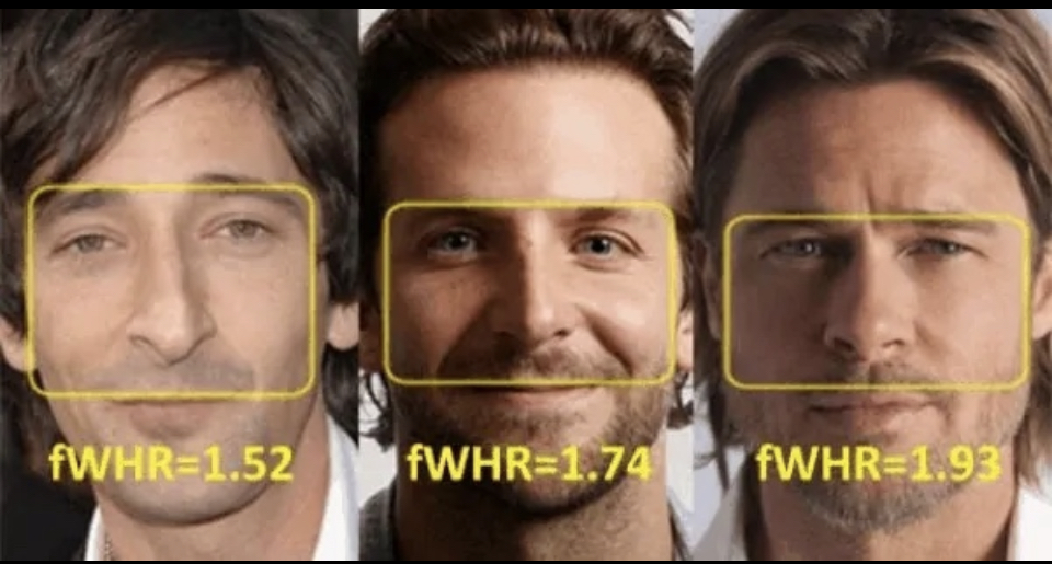 5DD97C56 77A6 4DE1 8420 1667E957D83C