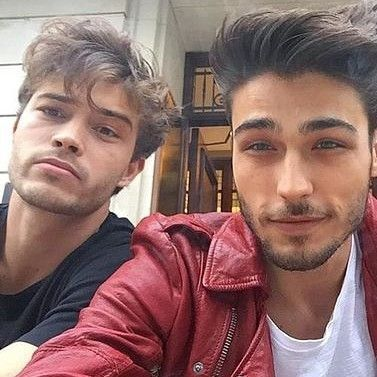 3369725 8f8ea216 08d8 4a3f 96e7 0005d9643c0f