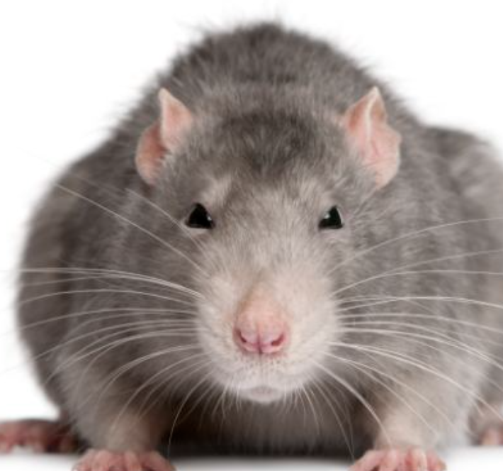 Screenshot 2023 12 26 at 80044AM