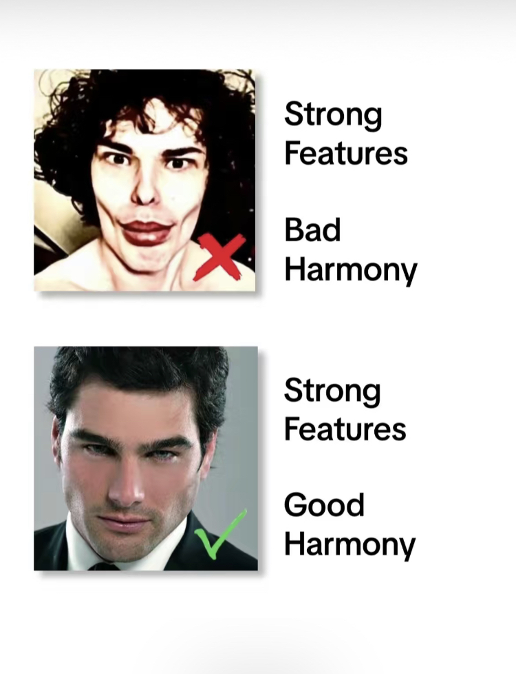 48647C5E 94F3 4402 B766 A7AAF2124C5D