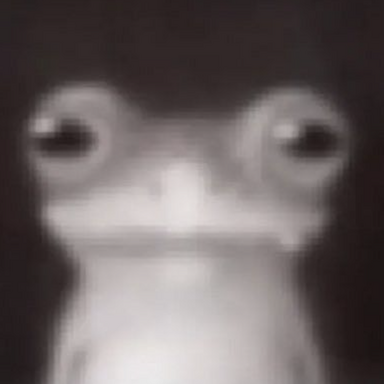 1703631858507