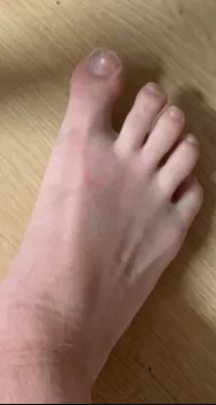 1703642290251