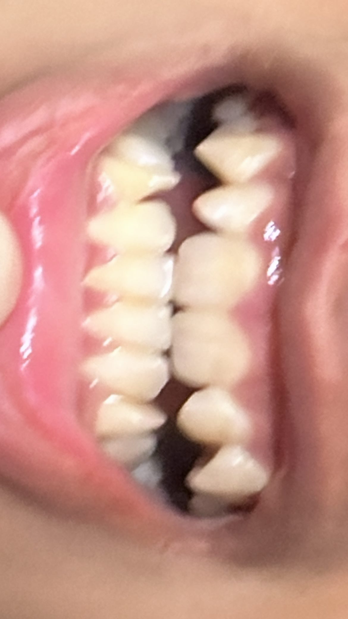 D47B9B0D AF78 440A BFCA AB70E0B730E8