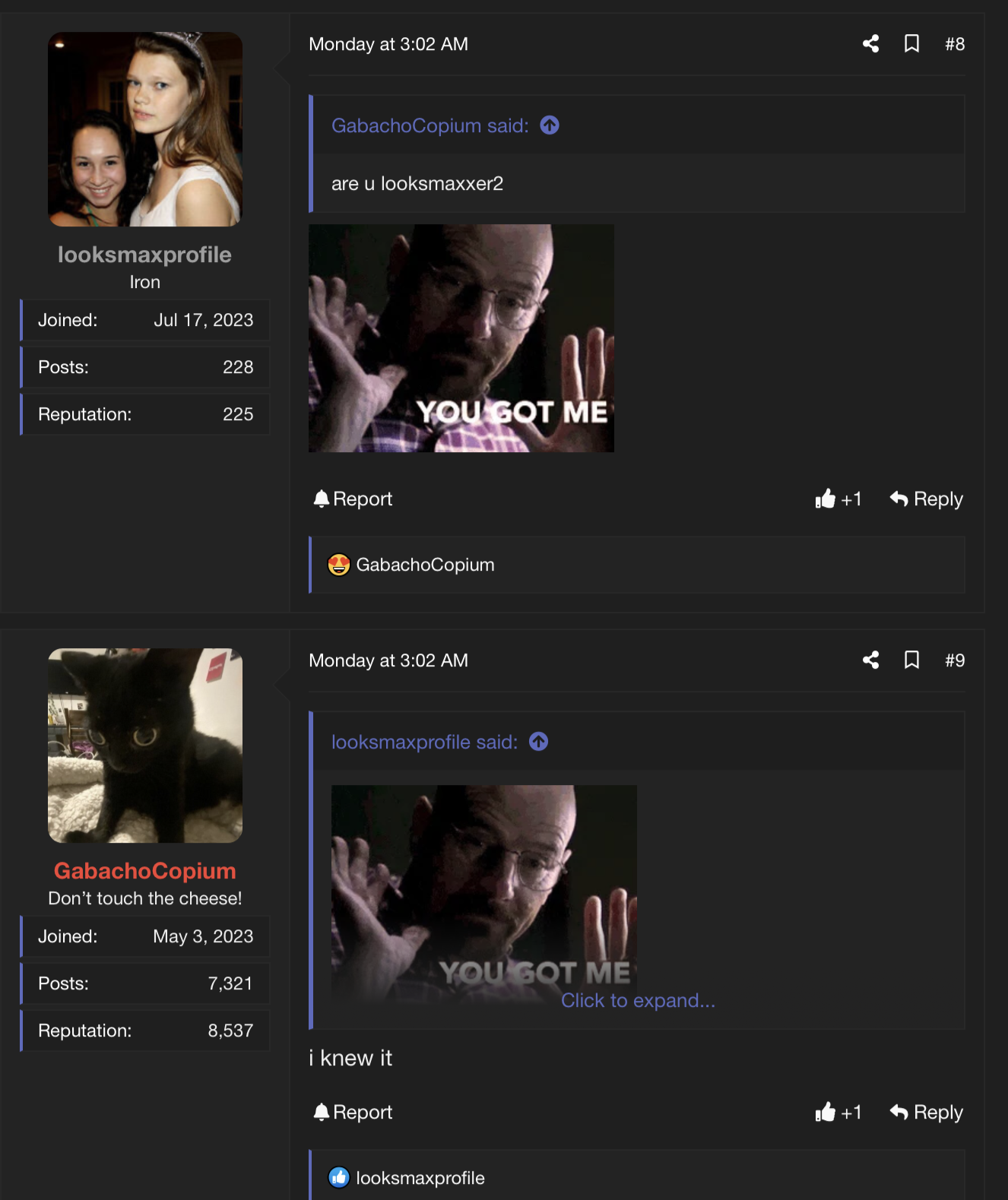 1703842325493