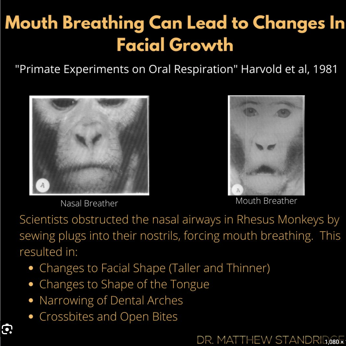 Screenshot 2023 12 29 at 114257AM