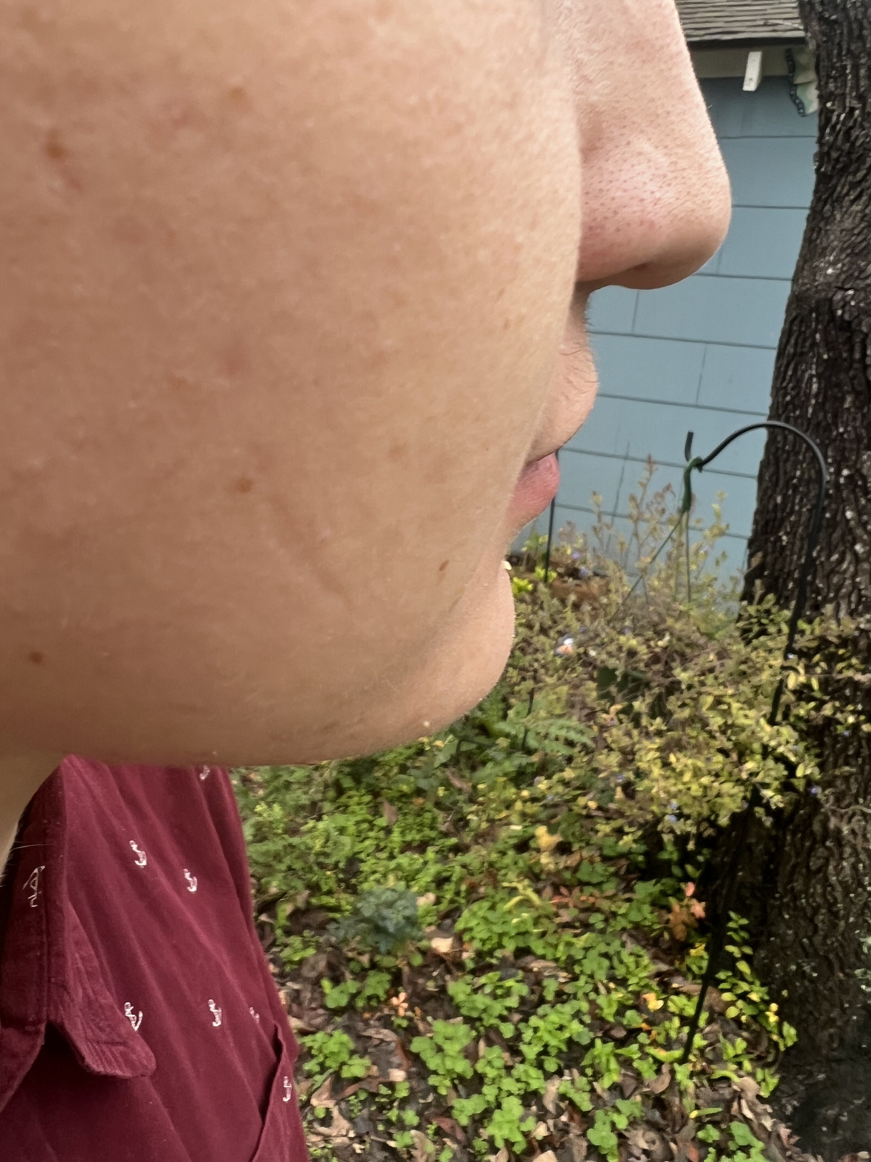 FF885A12 7820 4258 9F54 165078246B7D