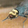 1703971730149