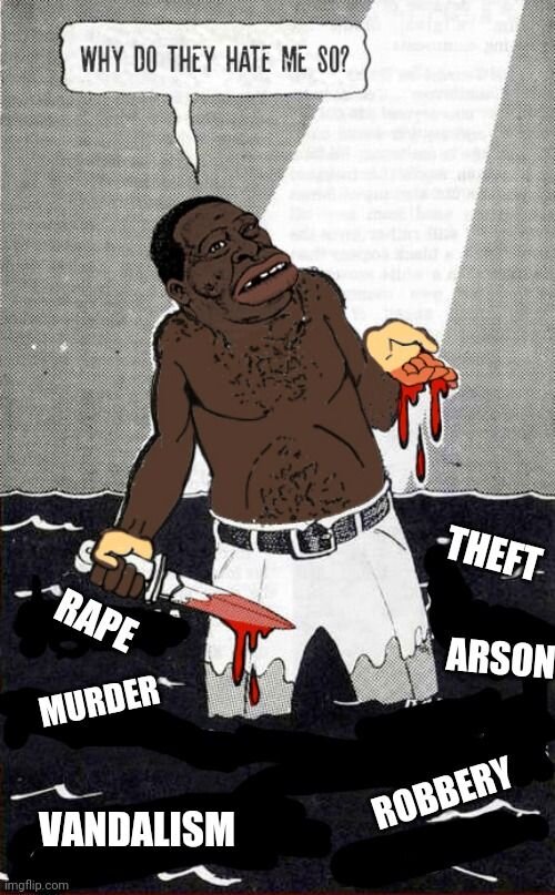 nigger victim.jpg