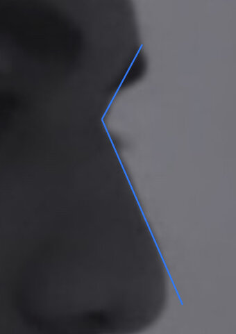 492B4C1B-5A2F-4AD4-8988-81E937EDCF04.jpeg