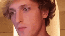 logan-paul-sorry.gif