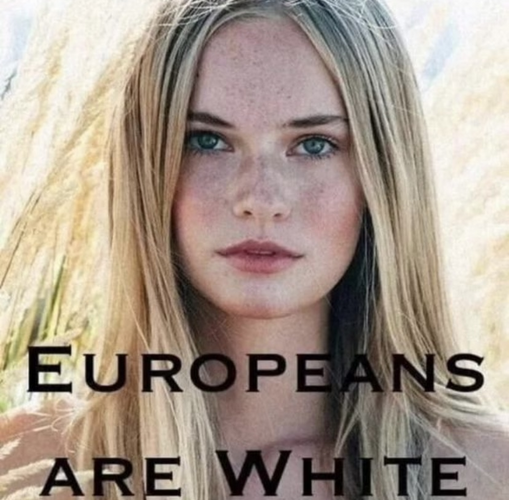 1703284061984.png